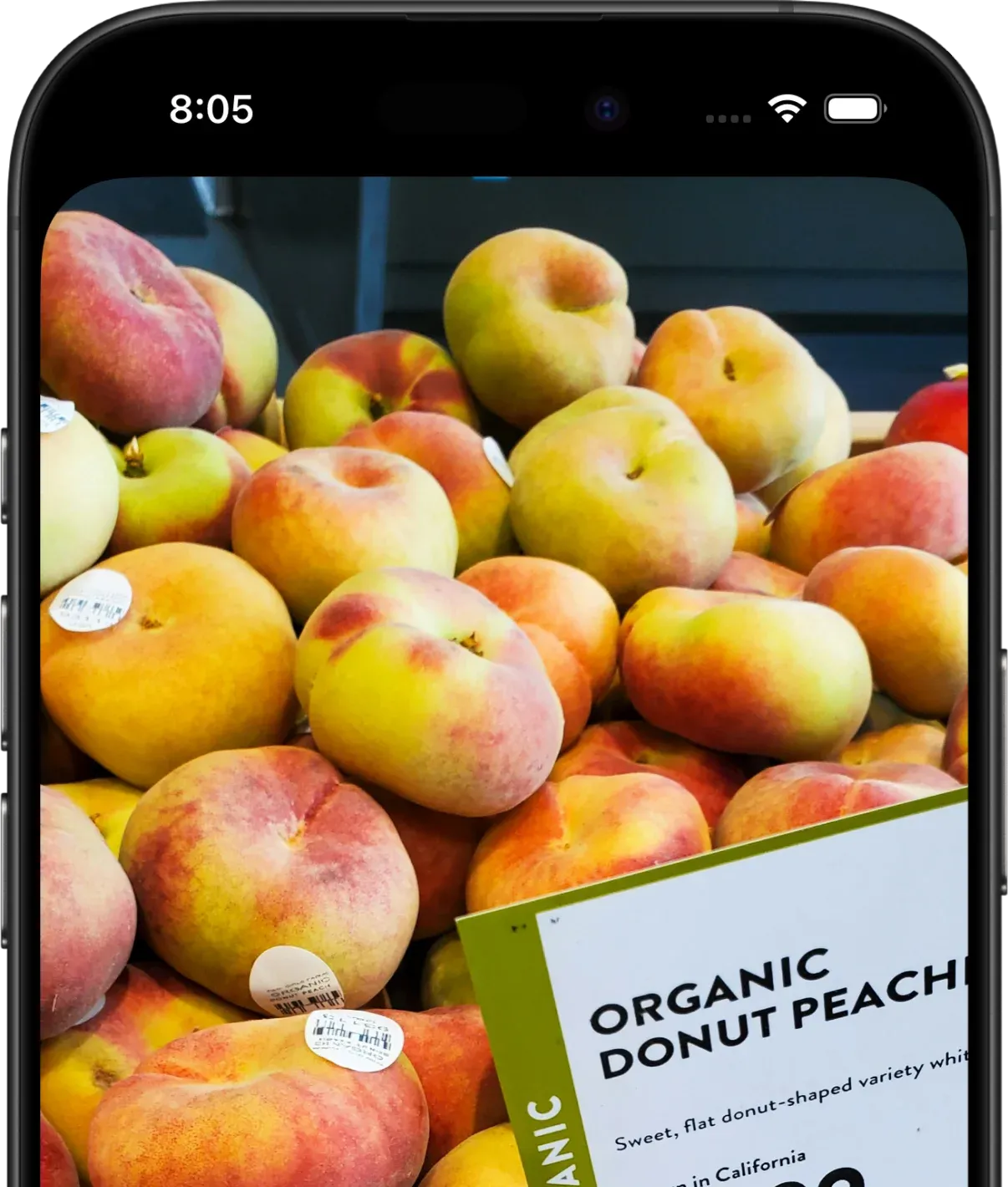 Cicolator's barcode scanner displaying a stack of peaches